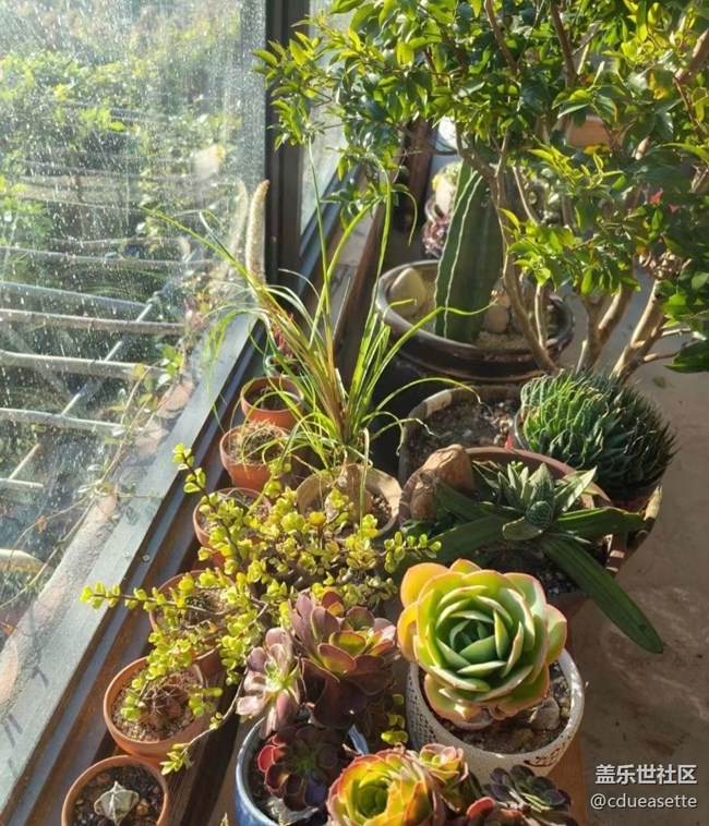 【秋意浓】入冬