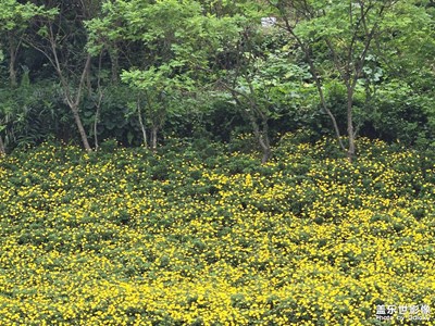 【斑斓萧瑟】+ 秋末的模样