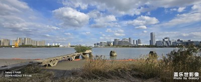 西岸