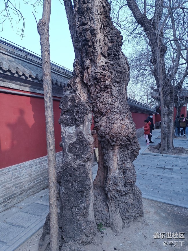 【白塔寺】和鲁迅博物馆