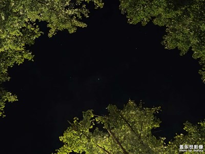 【斑斓萧瑟】+ 夜空明亮的星星