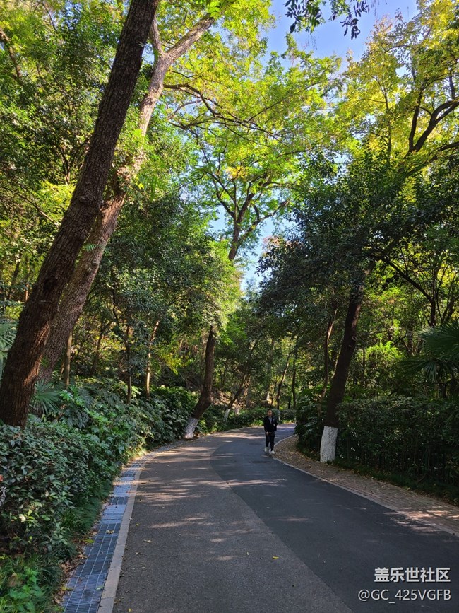 #秋天的道路——晴朗的秋天