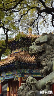 随手拍个照片