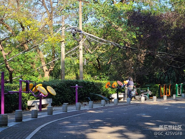 #秋天的道路——晴朗的秋天