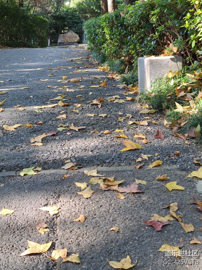 #秋天的道路——晴朗的秋天