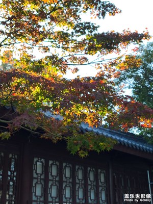 【斑斓萧瑟】湖边游玩