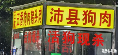 冬天吃狗肉
