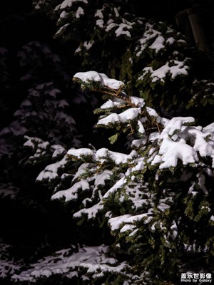 【见微知著】+ 今年的第一场大雪（第二场雪）