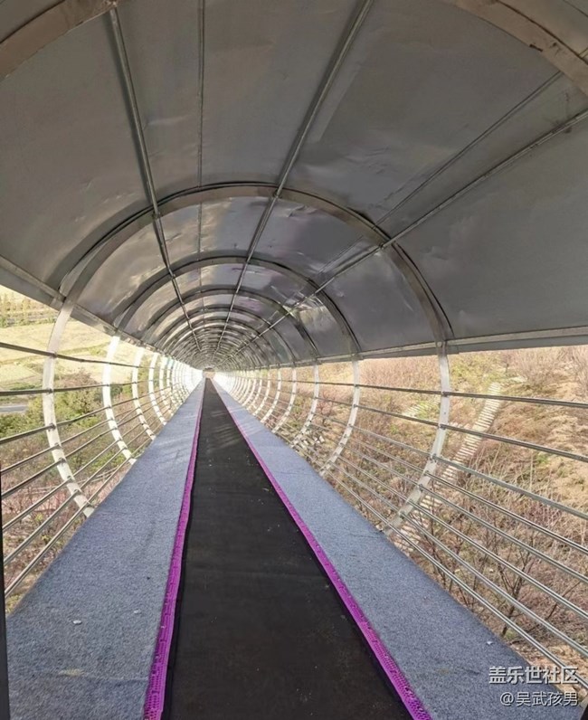 【秋意浓】樱花