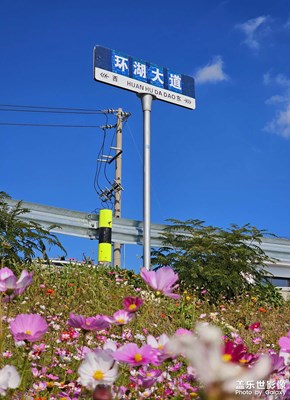 【如影随形】+淀山湖美景