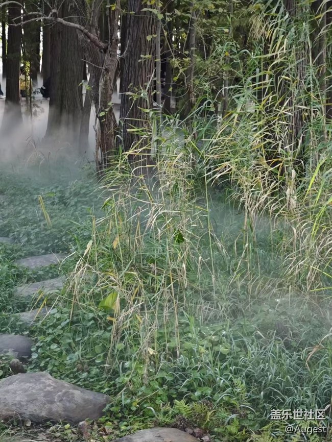 【秋意浓】落雁景区