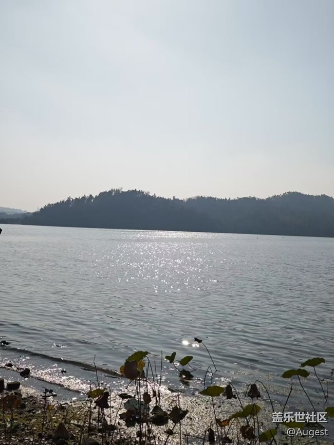 【秋意浓】落雁景区