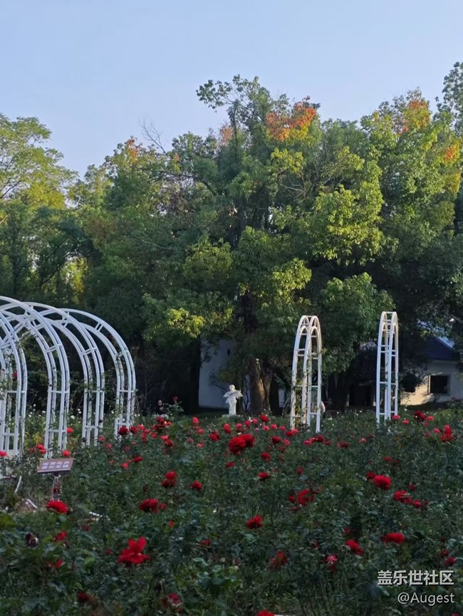 【秋意浓】落雁景区