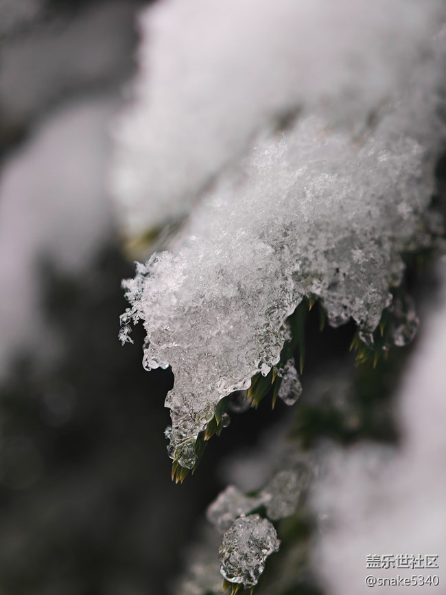 【人生是旷野】+晶莹的雪