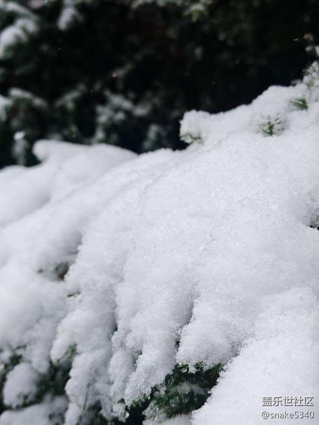 【人生是旷野】+晶莹的雪