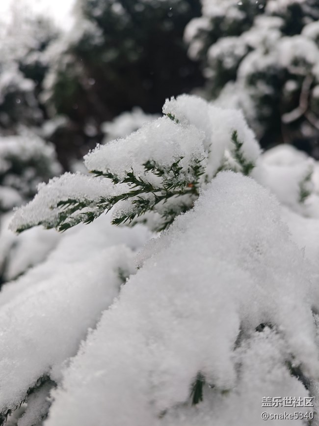 【人生是旷野】+晶莹的雪