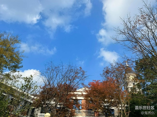 【Note手机里的春夏秋冬】美丽秋天