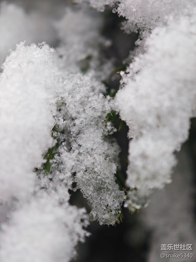 【人生是旷野】+晶莹的雪