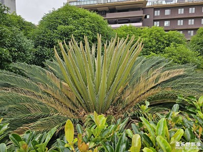 随手拍