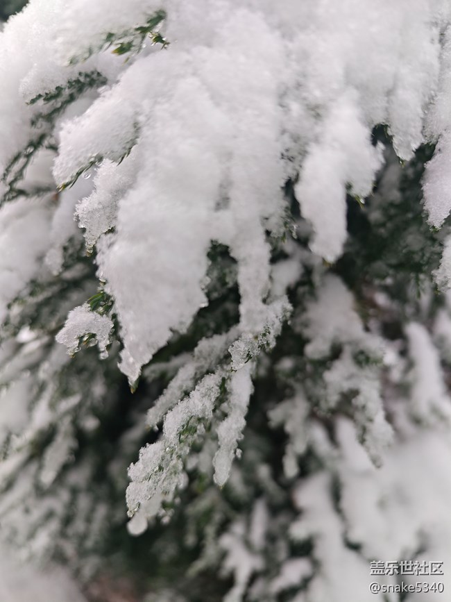 【人生是旷野】+晶莹的雪