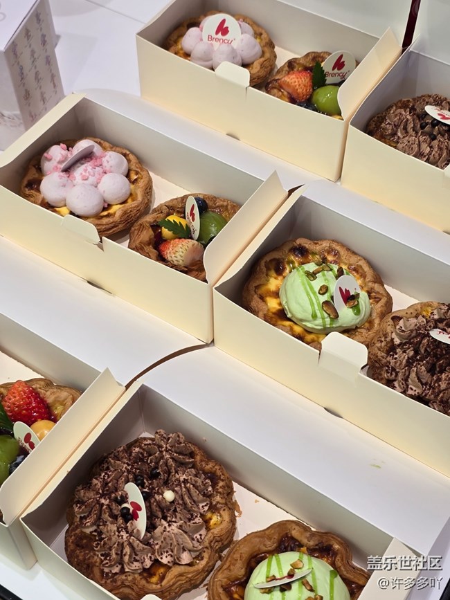 厦门星部落三星W25新机品鉴会活动回顾