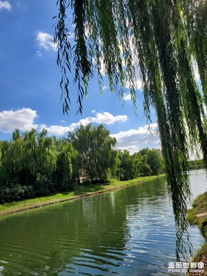 【见微知著】蓝天白云