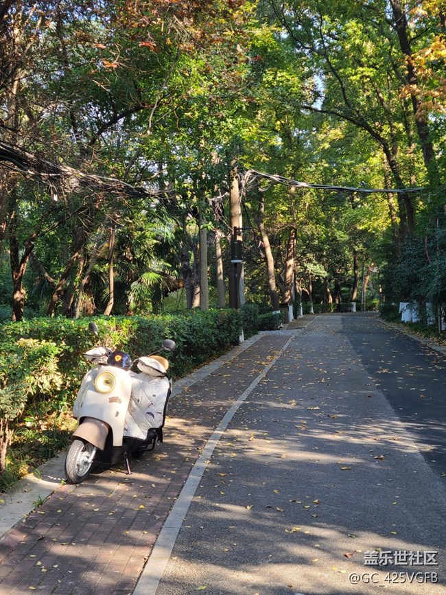 【初冬来】+初冬爬山