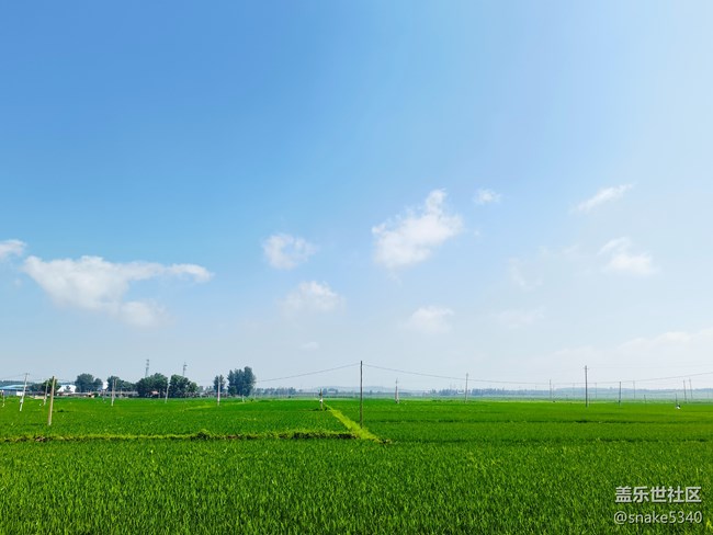 【人生是旷野】+绿水青山