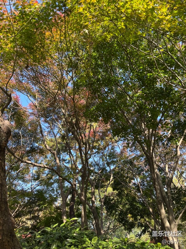 【秋霞圃线下摄影活动】+活动回顾贴 【秋霞圃线下摄影活动】+活动回顾贴