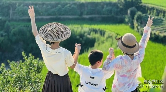 【Note手机里的春夏秋冬】夏季田野