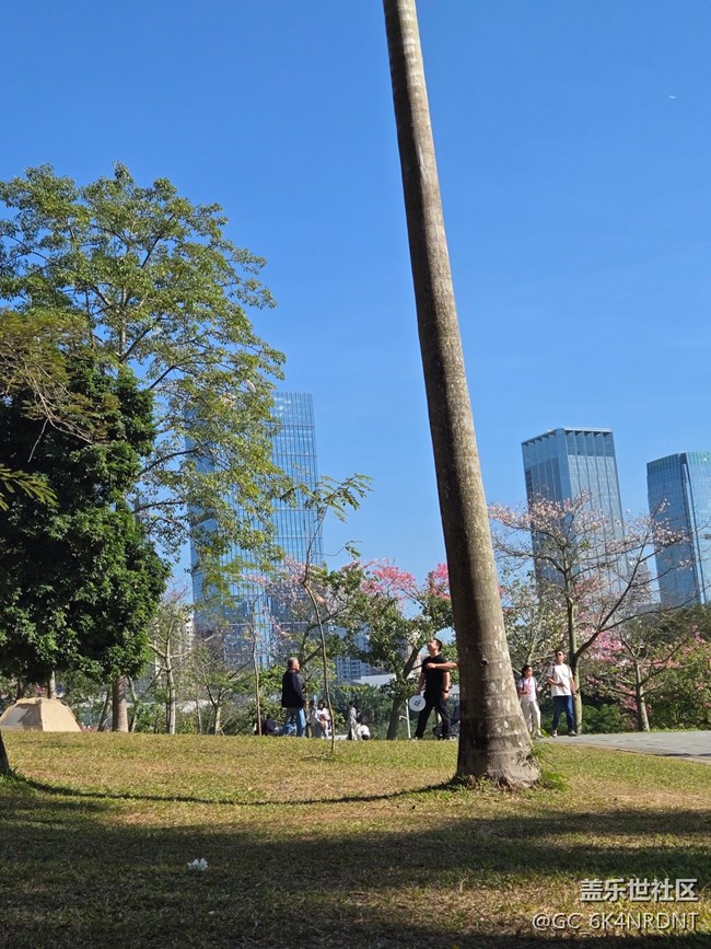 【活动回顾】“F”乐享悠闲时光