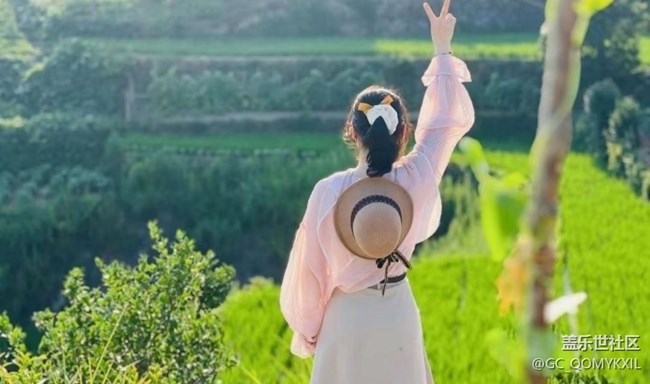 【Note手机里的春夏秋冬】夏季田野