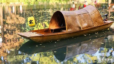 【如影随形】+ 崇州罨画池看银杏