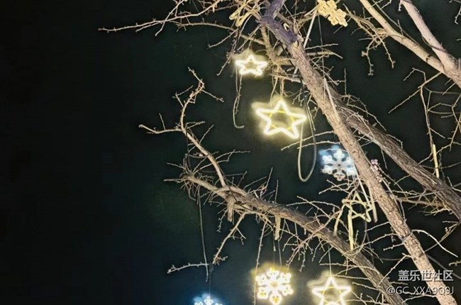 【2024再见】夜游南门