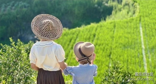 【Note手机里的春夏秋冬】夏季田野