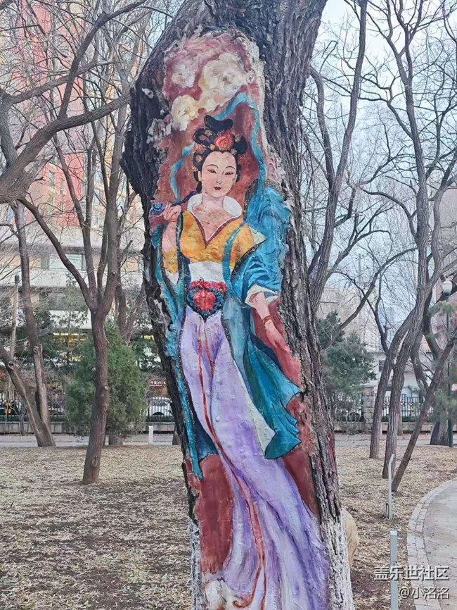 沈阳星部落南湖公园一日游摄影活动回顾