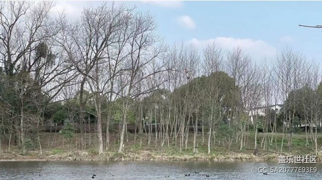 【Note手机里的春夏秋冬】好风景