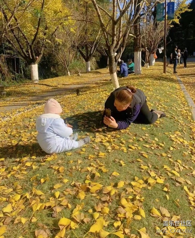 【金色回忆】温暖午后