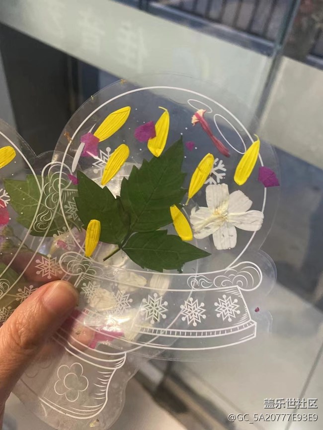 【金色回忆】秋叶