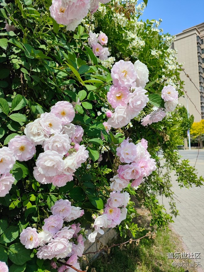 【2024再见】我的29岁