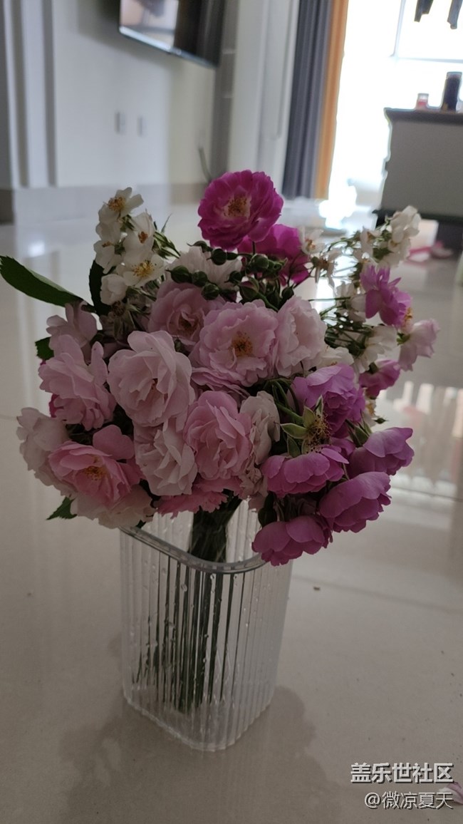 【2024再见】我的29岁