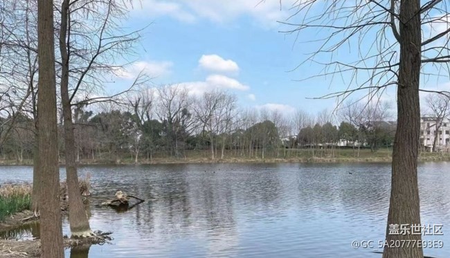 【Note手机里的春夏秋冬】好风景