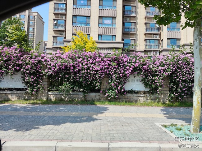 【2024再见】我的29岁