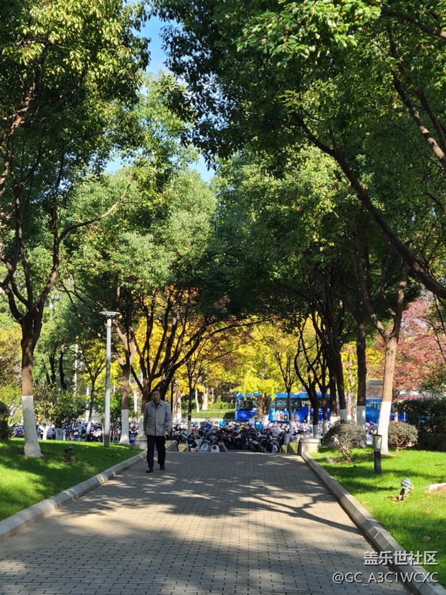 【金色回忆】秋天的回忆