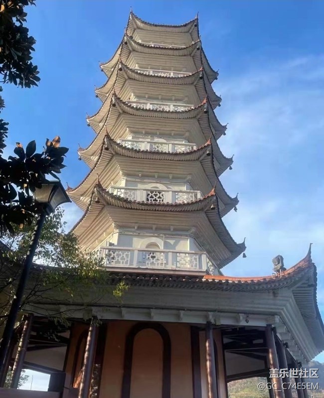 【金色回忆】温暖午后