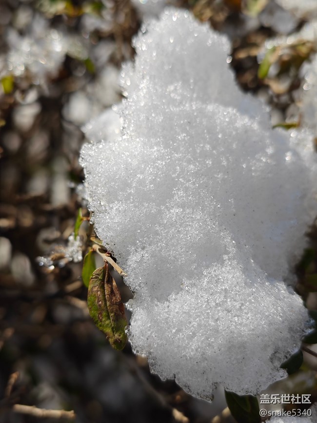 【瑞雪纷飞】+ 小雪