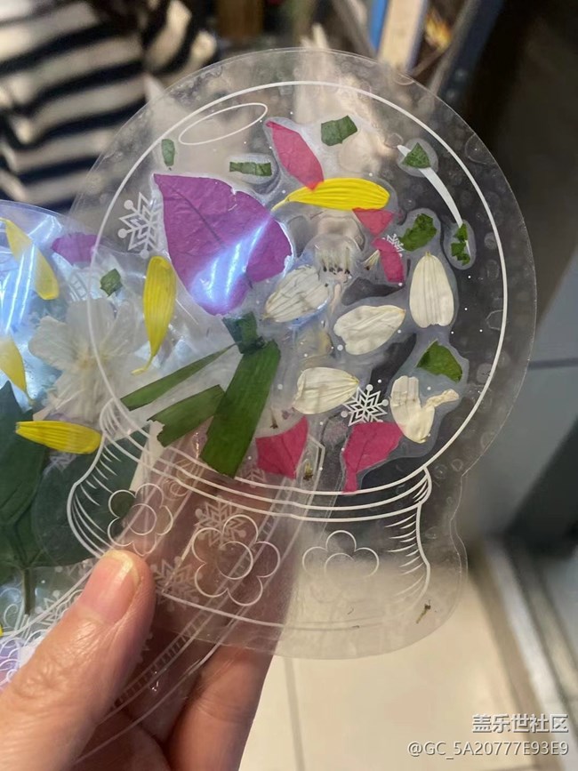 【金色回忆】秋叶
