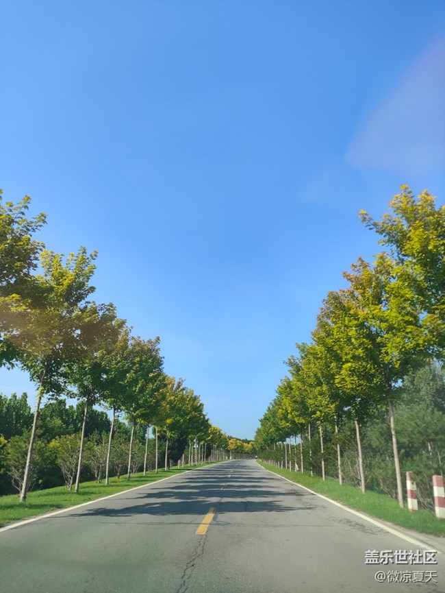 【2024再见】我的29岁