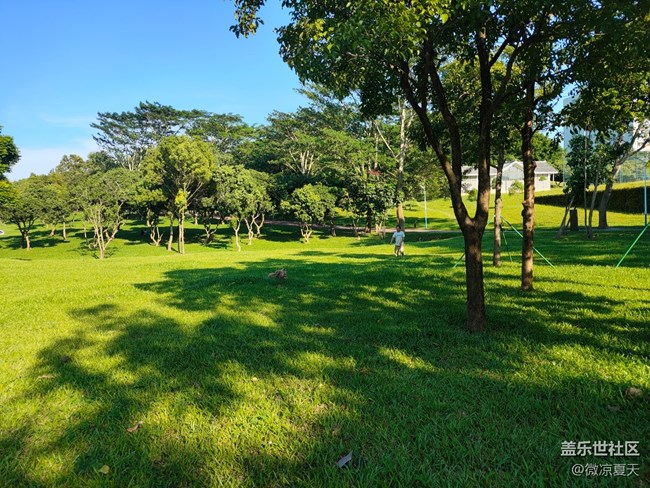 【2024再见】我的29岁