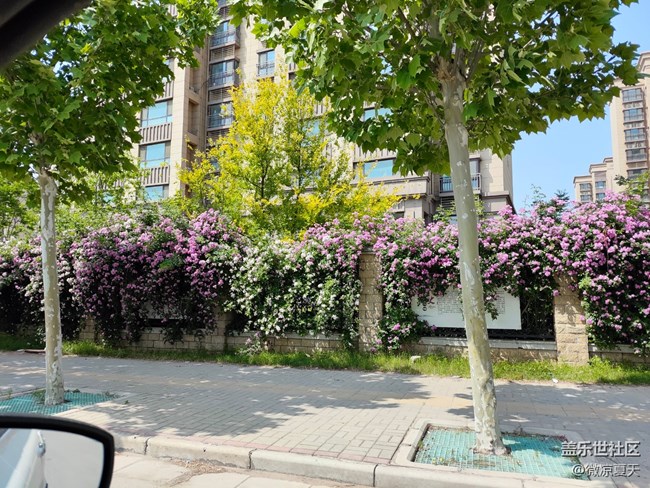 【2024再见】我的29岁